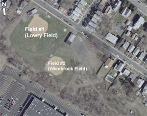 Aerial Photo of Lowry Park.